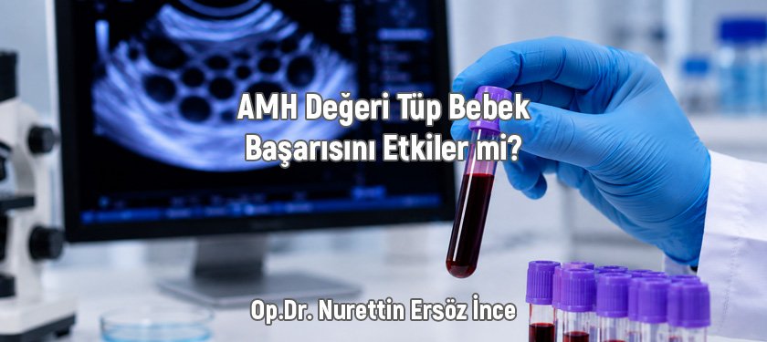 AMH Değeri Tüp Bebek Başarısını Etkiler mi? AMH Testi ve Yumurtalık Rezervi Hakkında Bilimsel Bilgiler