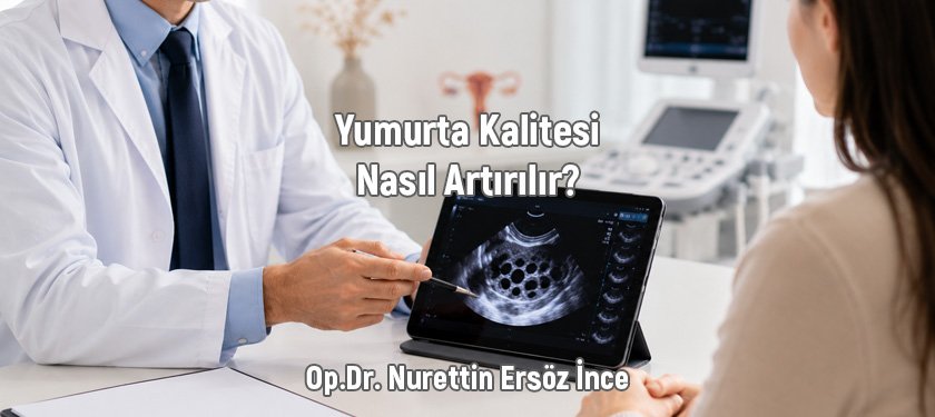 Yumurta Kalitesi Nasıl Artırılır? Bilimsel Veriler Işığında Yumurtalık Sağlığını Destekleyen Faktörler