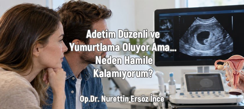 Adetim Düzenli ve Yumurtlama Oluyor Ama Neden Hamile Kalamıyorum?