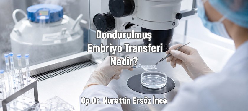 Dondurulmuş Embriyo Transferi Nedir? Dondurulmuş Embriyo Transferi (FET) Süreci ve Merak Edilenler